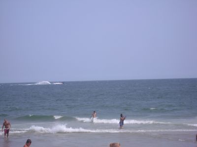 1187489181 316 FT0 Dsc00571 1187489181 316 FT0 Dsc00571