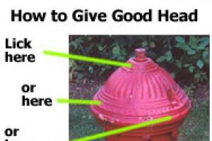 How To Give Good Head[Submitted By Canadian Eskimo]