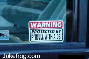 Pitbulls with AIDS